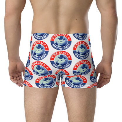 Re-Elect Mayor Larry Boxer Briefs