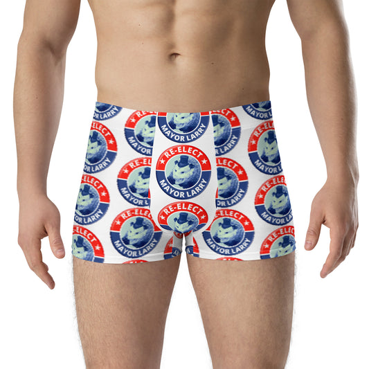 Re-Elect Mayor Larry Boxer Briefs