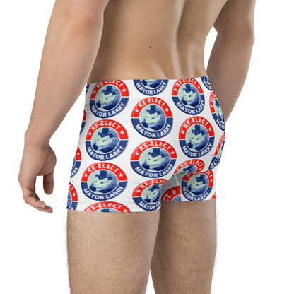 Re-Elect Mayor Larry Boxer Briefs