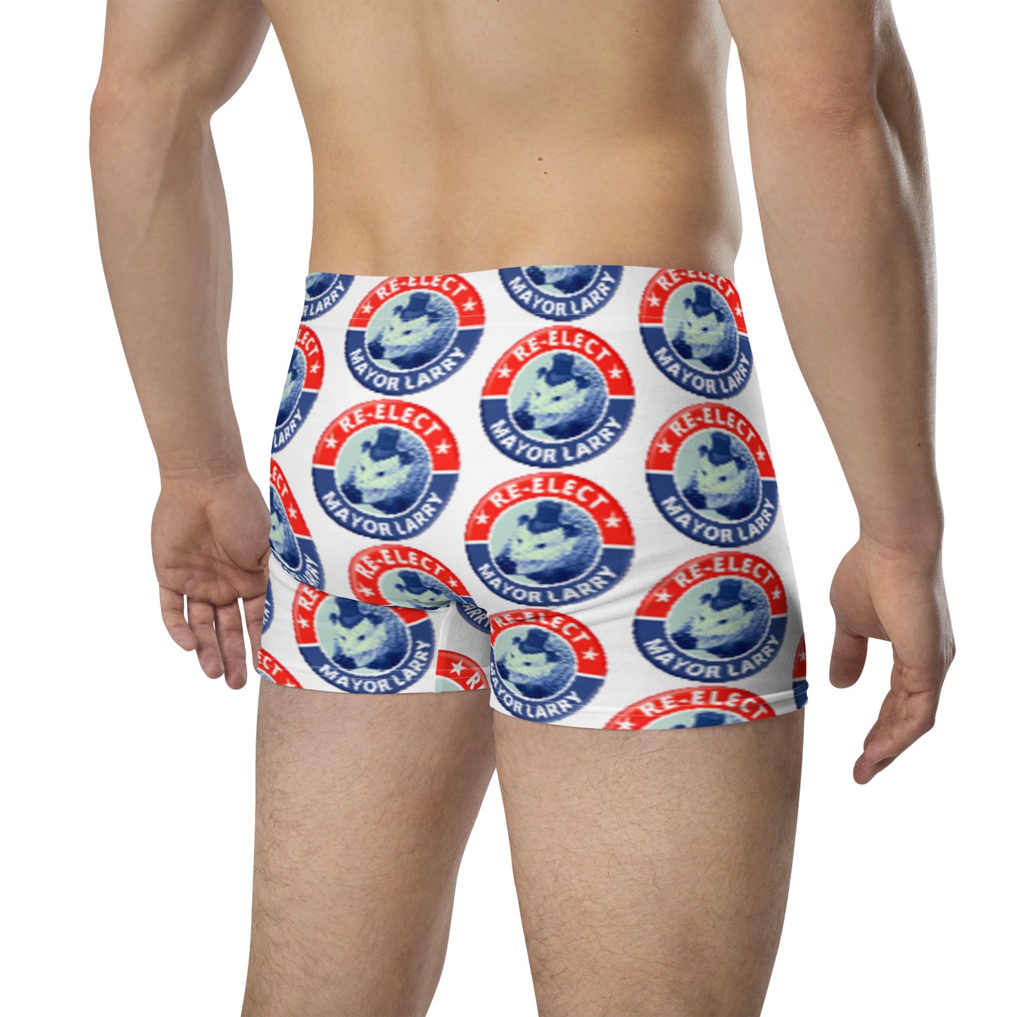 Re-Elect Mayor Larry Boxer Briefs