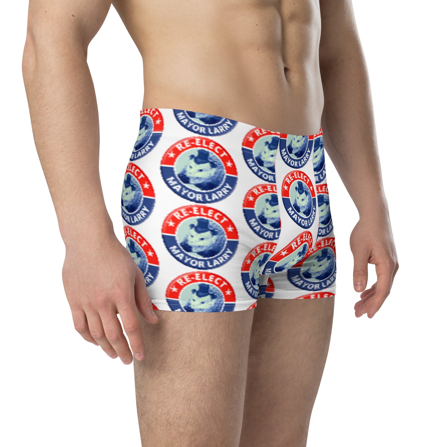 Re-Elect Mayor Larry Boxer Briefs